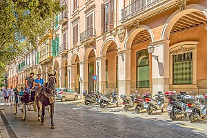 Palma und Umgebung
